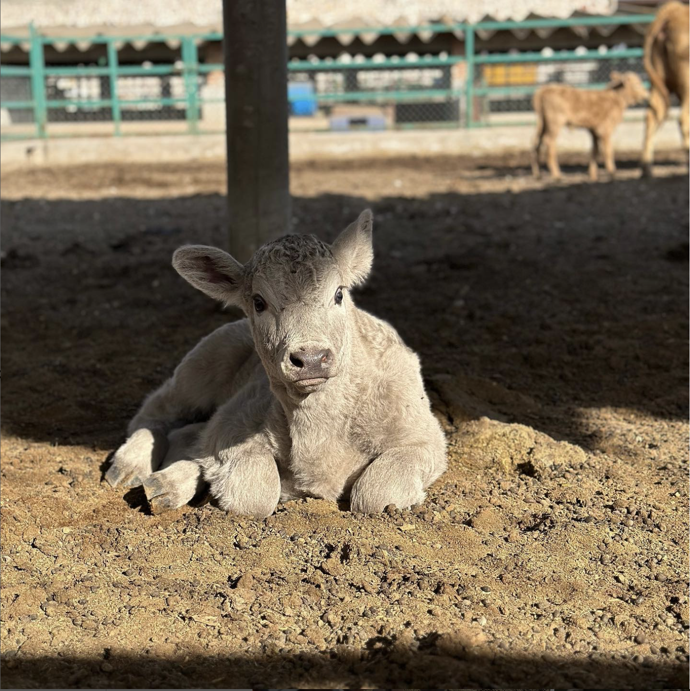 placeholder image-sq